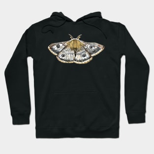 Emperor Moth Hoodie